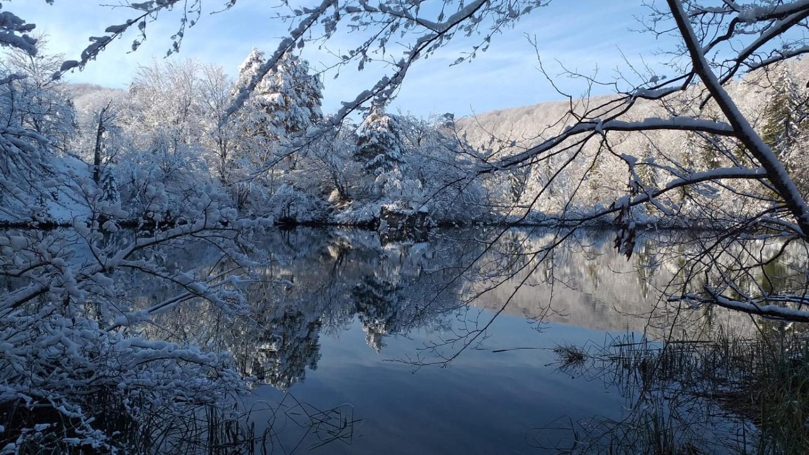 Sweet Dreams Διαμέρισμα Plitvička Jezera Δωμάτιο φωτογραφία